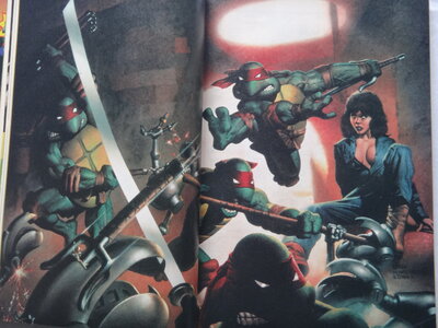Lot de comics TORTUES  NINJAS, DSC00843