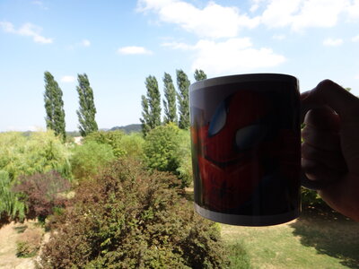 Tasse géante SPIDER-MAN, DSC00708