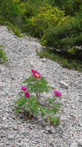 mardi 22/05/2018, DSC003943