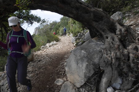 2018-05-12-19-selvaggio-blu, alpes-aventure-selvaggio-blu-santa-maria-su-idileddu-2018-05-13-030