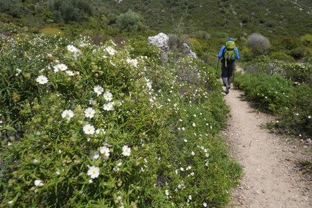 2018-05-12-19-selvaggio-blu, alpes-aventure-selvaggio-blu-santa-maria-su-idileddu-2018-05-13-052