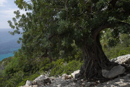 2018-05-12-19-selvaggio-blu, alpes-aventure-selvaggio-blu-santa-maria-su-idileddu-2018-05-13-061