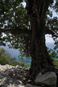 2018-05-12-19-selvaggio-blu, alpes-aventure-selvaggio-blu-santa-maria-su-idileddu-2018-05-13-062