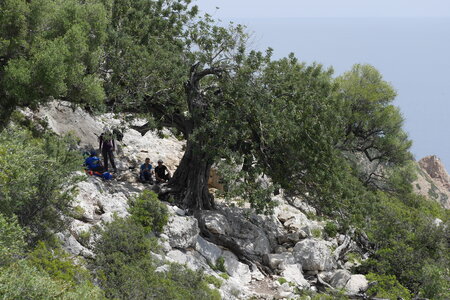 2018-05-12-19-selvaggio-blu, alpes-aventure-selvaggio-blu-santa-maria-su-idileddu-2018-05-13-066