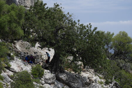2018-05-12-19-selvaggio-blu, alpes-aventure-selvaggio-blu-santa-maria-su-idileddu-2018-05-13-074