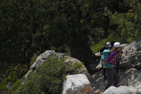 2018-05-12-19-selvaggio-blu, alpes-aventure-selvaggio-blu-santa-maria-su-idileddu-2018-05-13-082