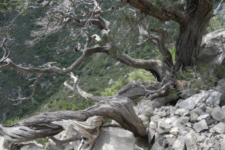 2018-05-12-19-selvaggio-blu, alpes-aventure-selvaggio-blu-santa-maria-su-idileddu-2018-05-13-085