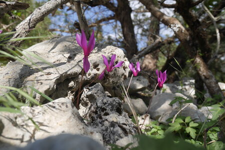 2018-05-12-19-selvaggio-blu, alpes-aventure-selvaggio-blu-santa-maria-su-idileddu-2018-05-13-091