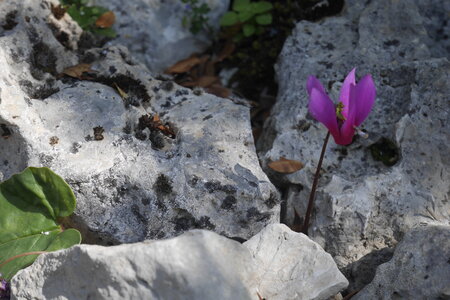 2018-05-12-19-selvaggio-blu, alpes-aventure-selvaggio-blu-santa-maria-su-idileddu-2018-05-13-094