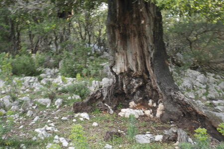 2018-05-12-19-selvaggio-blu, alpes-aventure-selvaggio-blu-santa-maria-su-idileddu-2018-05-13-117
