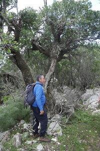2018-05-12-19-selvaggio-blu, alpes-aventure-selvaggio-blu-su-idileddu-portu-pedrosu-2018-05-14-011