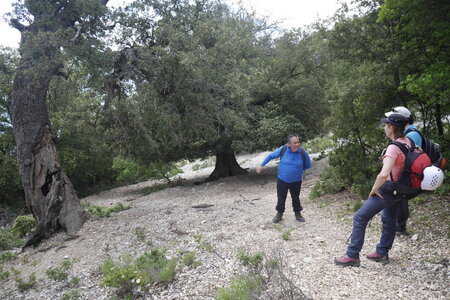 2018-05-12-19-selvaggio-blu, alpes-aventure-selvaggio-blu-su-idileddu-portu-pedrosu-2018-05-14-027