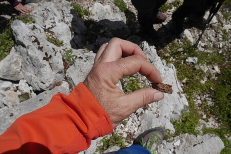 2018-05-12-19-selvaggio-blu, alpes-aventure-selvaggio-blu-su-idileddu-portu-pedrosu-2018-05-14-029