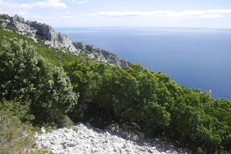 2018-05-12-19-selvaggio-blu, alpes-aventure-selvaggio-blu-su-idileddu-portu-pedrosu-2018-05-14-034