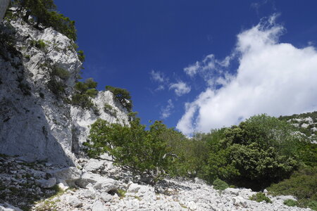 2018-05-12-19-selvaggio-blu, alpes-aventure-selvaggio-blu-su-idileddu-portu-pedrosu-2018-05-14-035
