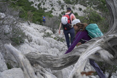 2018-05-12-19-selvaggio-blu, alpes-aventure-selvaggio-blu-su-idileddu-portu-pedrosu-2018-05-14-047