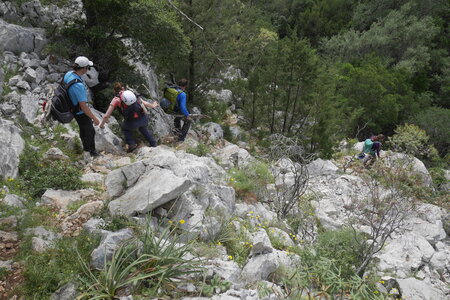 2018-05-12-19-selvaggio-blu, alpes-aventure-selvaggio-blu-su-idileddu-portu-pedrosu-2018-05-14-081