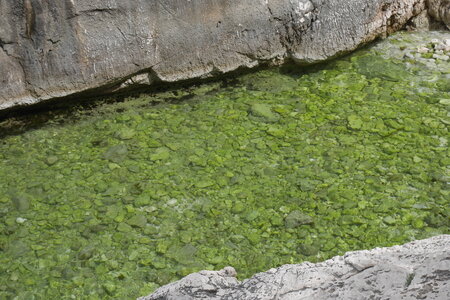 2018-05-12-19-selvaggio-blu, alpes-aventure-selvaggio-blu-su-idileddu-portu-pedrosu-2018-05-14-083