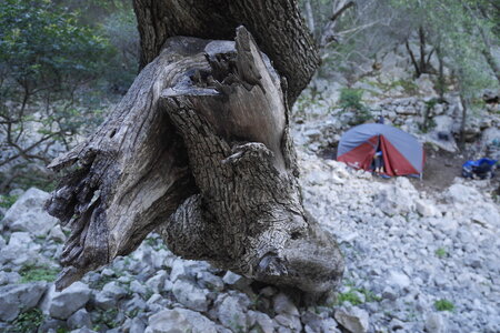 2018-05-12-19-selvaggio-blu, alpes-aventure-selvaggio-blu-su-idileddu-portu-pedrosu-2018-05-14-124