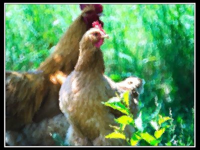 Compagnons du jardin, Bebettes 1