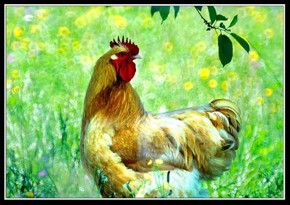 Compagnons du jardin, Bebettes 4
