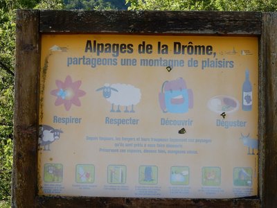 pivoines de mercredi 23/05/2018, DSCN3576