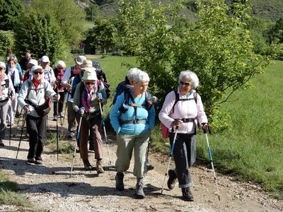 pivoines de mercredi 23/05/2018, DSCN3577