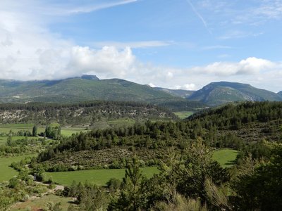 pivoines de mercredi 23/05/2018, DSCN3584