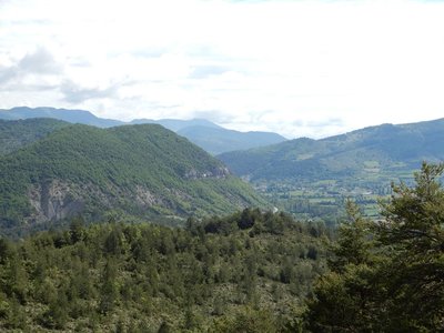 pivoines de mercredi 23/05/2018, DSCN3585