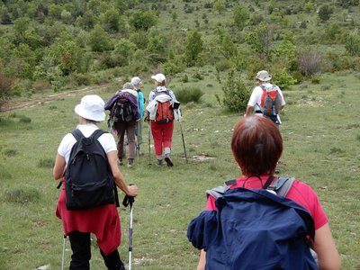 pivoines de mercredi 23/05/2018, DSCN3595