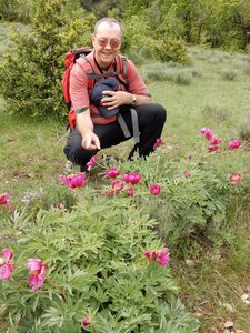 pivoines de mercredi 23/05/2018, DSCN3598