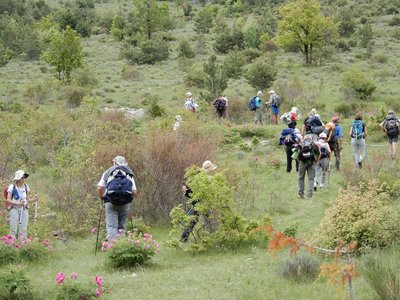 pivoines de mercredi 23/05/2018, DSCN3602