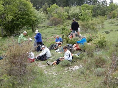 pivoines de mercredi 23/05/2018, DSCN3608