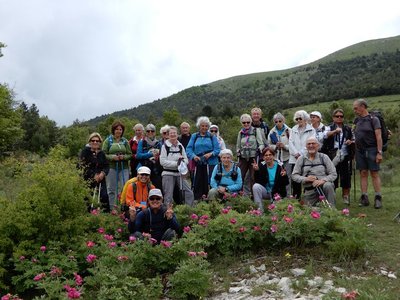 pivoines de mercredi 23/05/2018, DSCN3609