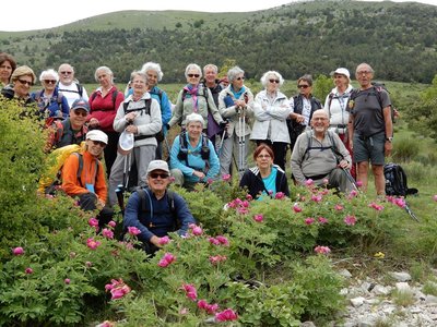 pivoines de mercredi 23/05/2018, DSCN3612