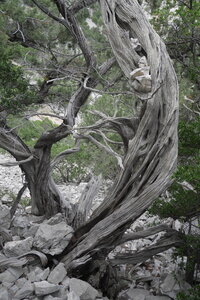 2018-05-12-19-selvaggio-blu, alpes-aventure-selvaggio-blu-portu-pedrosu-su-tesaru-2018-05-15-017