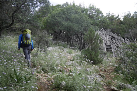 2018-05-12-19-selvaggio-blu, alpes-aventure-selvaggio-blu-portu-pedrosu-su-tesaru-2018-05-15-023