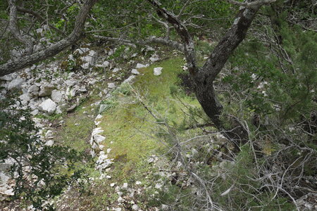 2018-05-12-19-selvaggio-blu, alpes-aventure-selvaggio-blu-portu-pedrosu-su-tesaru-2018-05-15-043