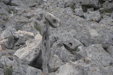 2018-05-12-19-selvaggio-blu, alpes-aventure-selvaggio-blu-portu-pedrosu-su-tesaru-2018-05-15-050