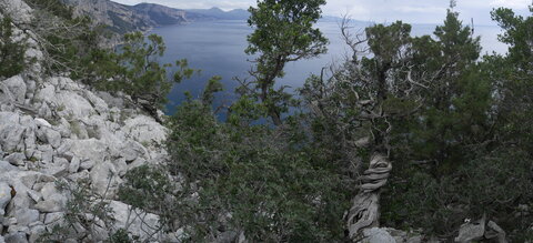 2018-05-12-19-selvaggio-blu, alpes-aventure-selvaggio-blu-portu-pedrosu-su-tesaru-2018-05-15-052