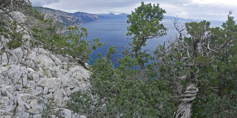 2018-05-12-19-selvaggio-blu, alpes-aventure-selvaggio-blu-portu-pedrosu-su-tesaru-2018-05-15-053