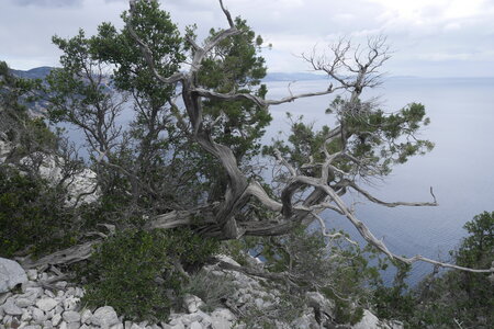 2018-05-12-19-selvaggio-blu, alpes-aventure-selvaggio-blu-portu-pedrosu-su-tesaru-2018-05-15-055