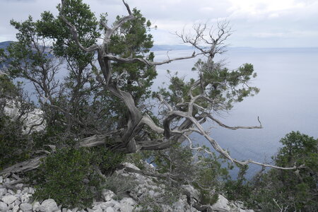 2018-05-12-19-selvaggio-blu, alpes-aventure-selvaggio-blu-portu-pedrosu-su-tesaru-2018-05-15-056