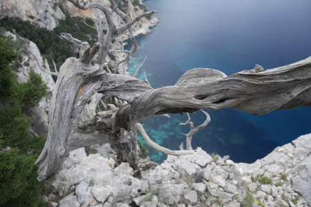 2018-05-12-19-selvaggio-blu, alpes-aventure-selvaggio-blu-portu-pedrosu-su-tesaru-2018-05-15-062