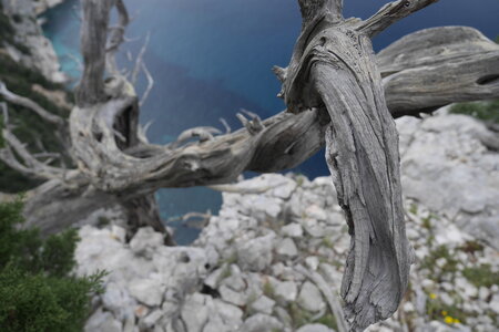 2018-05-12-19-selvaggio-blu, alpes-aventure-selvaggio-blu-portu-pedrosu-su-tesaru-2018-05-15-065