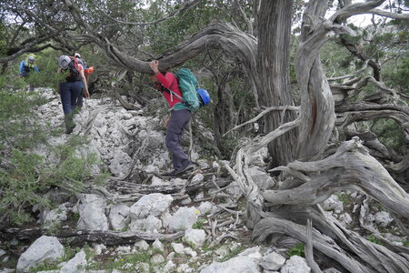 2018-05-12-19-selvaggio-blu, alpes-aventure-selvaggio-blu-portu-pedrosu-su-tesaru-2018-05-15-067