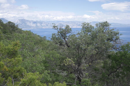 2018-05-12-19-selvaggio-blu, alpes-aventure-selvaggio-blu-portu-pedrosu-su-tesaru-2018-05-15-074