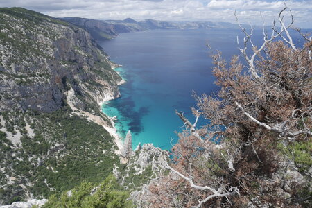 2018-05-12-19-selvaggio-blu, alpes-aventure-selvaggio-blu-portu-pedrosu-su-tesaru-2018-05-15-098