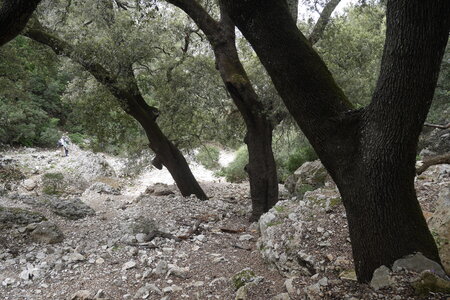 2018-05-12-19-selvaggio-blu, alpes-aventure-selvaggio-blu-portu-pedrosu-su-tesaru-2018-05-15-112