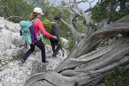 2018-05-12-19-selvaggio-blu, alpes-aventure-selvaggio-blu-su-tesaru-ololbizzi-2018-05-16-018